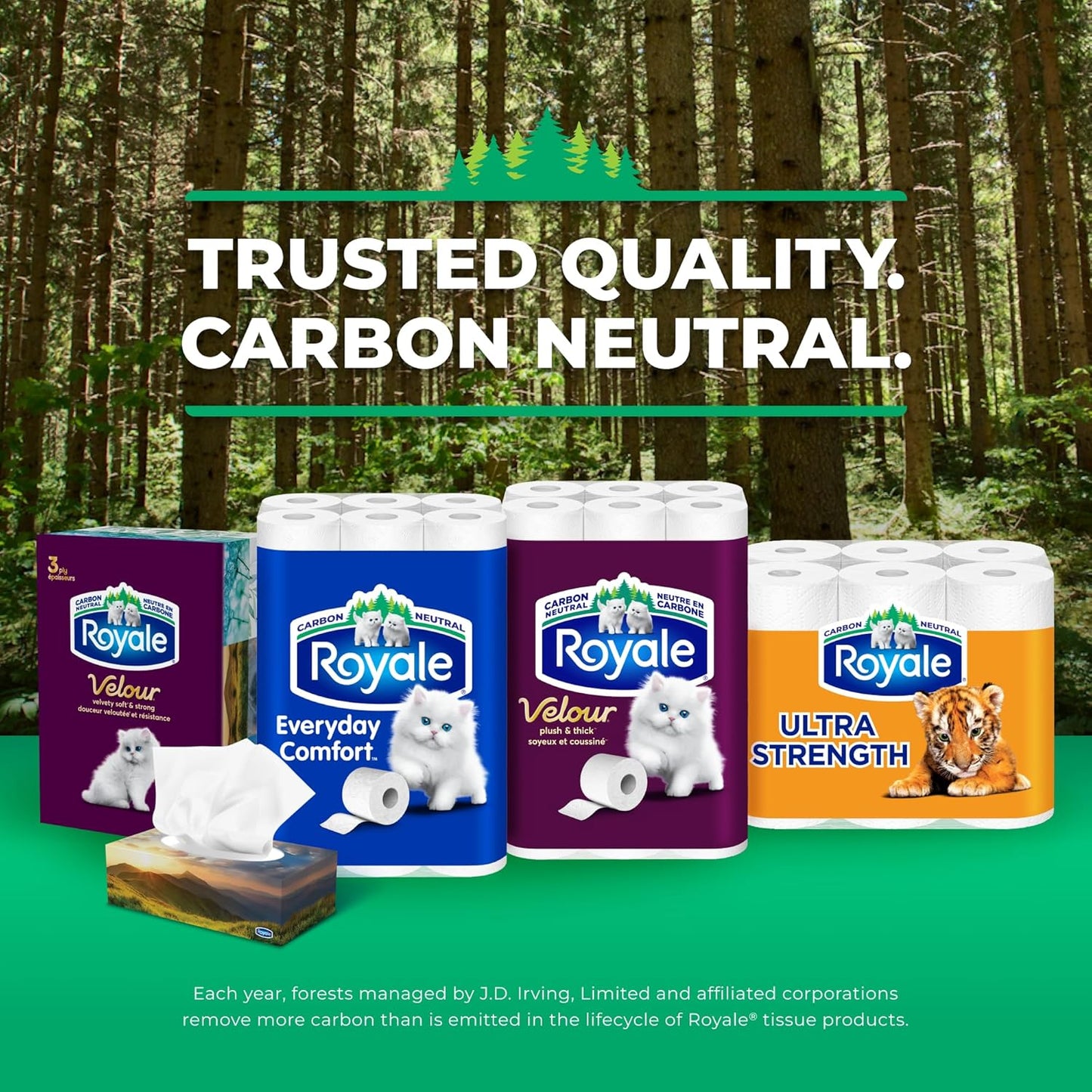 Royale Velour Toilet Paper, 12 Equal 24 Rolls, 142 Bathroom Tissues per roll