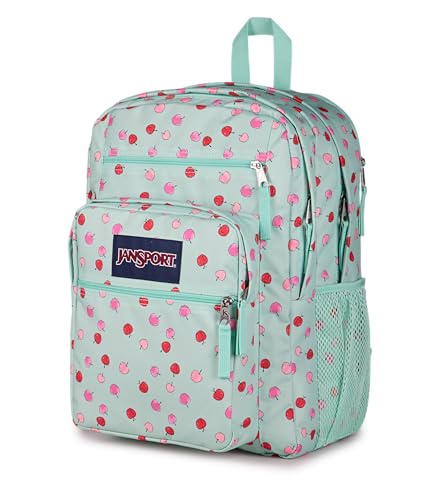 JanSport Laptop Backpack - Computer Bag