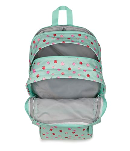 JanSport Laptop Backpack - Computer Bag