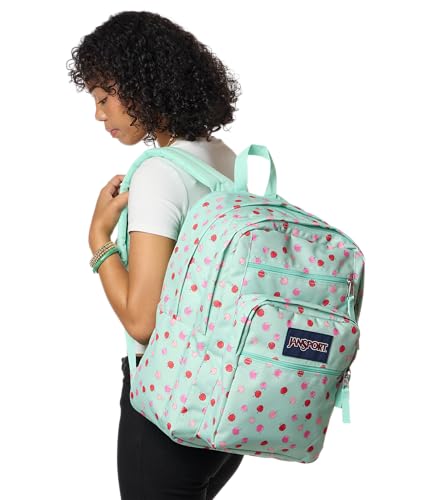JanSport Laptop Backpack - Computer Bag