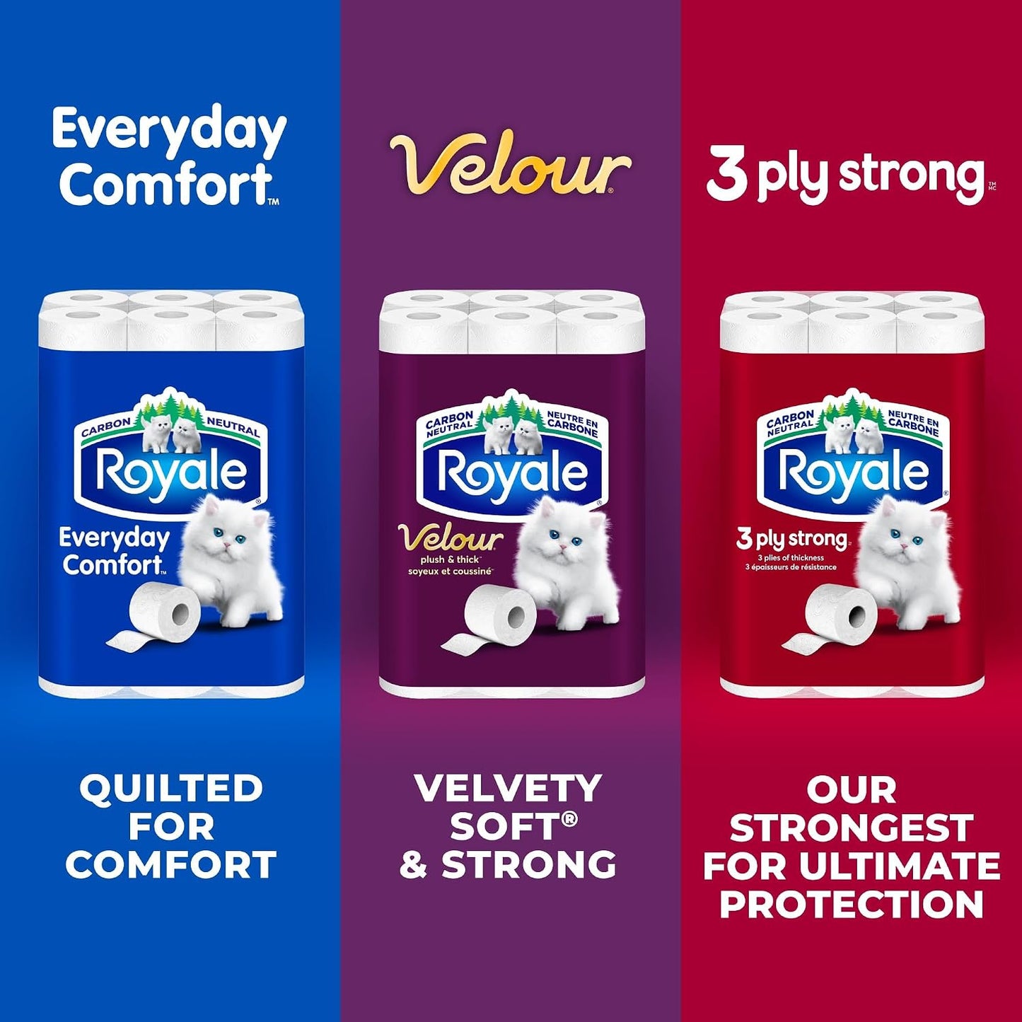 Royale Velour Toilet Paper, 12 Equal 24 Rolls, 142 Bathroom Tissues per roll