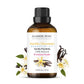 Majestic Pure Peppermint Essential Oil for Diffuser - 4 Fl Oz | 100% Natural Essentials Oils for Aromatherapy, Massage, Steam inhalation, Air Freshing, Soap and Candle Making