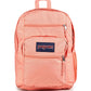 JanSport Laptop Backpack - Computer Bag