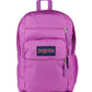JanSport Laptop Backpack - Computer Bag
