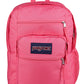 JanSport Laptop Backpack - Computer Bag